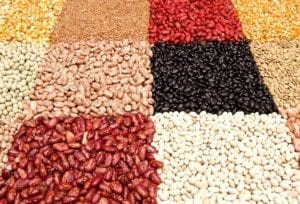 dried bean and legume display