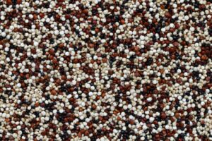 White, red and multi-colored quinoa