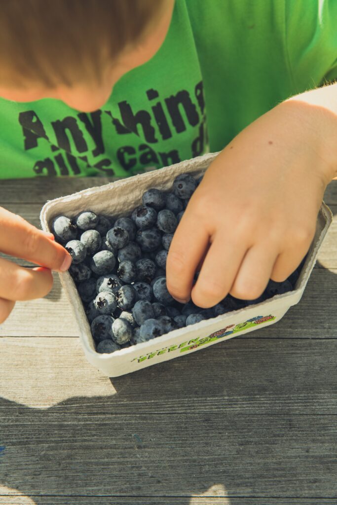 Fresh organic blueberries are a great addition to healthy breakfasts for kids.